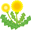たんぽぽぐみ