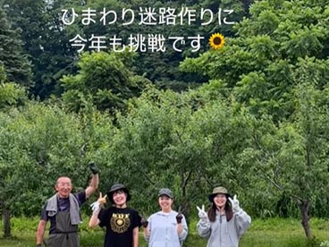 ひまわり迷路を今年も行います🌻